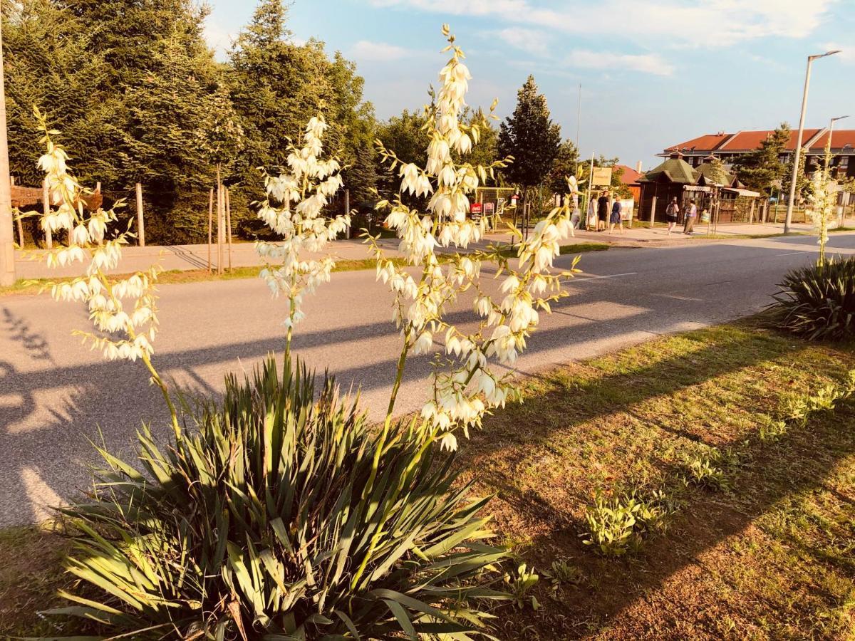 Club Thermal Village Cegled Luaran gambar